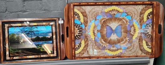 Two early 20th century cross banded and inlaid butterfly wing trays, South American. 51cm and 71cm