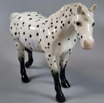 Beswick Appaloosa (spotted walking pony). (B.P. 21% + VAT) the ear has been off but is present and