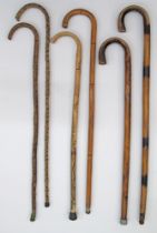 Six walking sticks