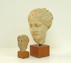 Head of a classical Greek terracotta sculpture