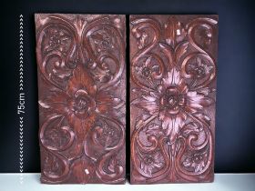 A PAIR OF 19TH CENTURY CARVED WALNUT? PANES. Scrolling stylised foliate design. 75 x 37.5cm