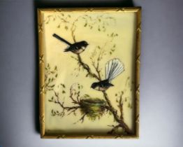 A Nora M Gardner miniature Oil on bone. Depicting a pair of nesting Fantails. In gilt-metal frame.