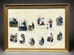 A framed collection of Chinese Pith watercolour paintings.