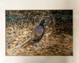 Jenny Richards Pastel "The Pheasant" 20th Century artists monograme lower right, titled verso.