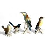 A collection of four Karl Ens porcelain bird figures. 