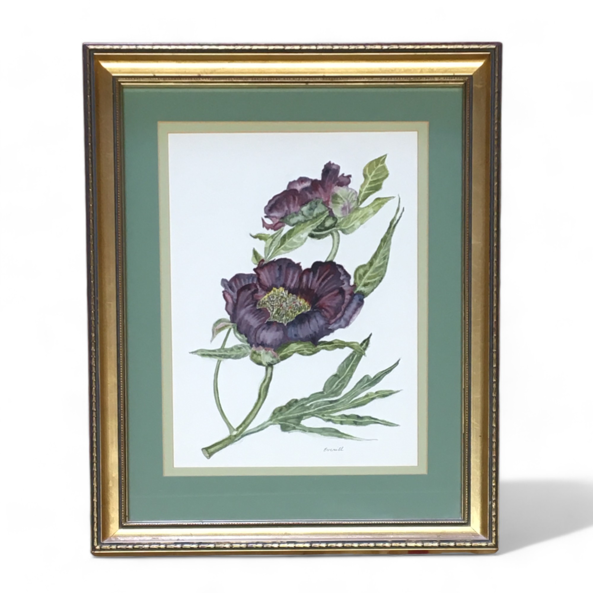 Purple Peony by Everill - Watercolour Signed. Height 34cm (Image) Width 23.5cm 