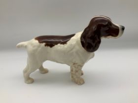 Beswick Dog - Spaniel