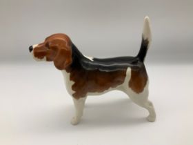 Beswick Dog - Beagle
