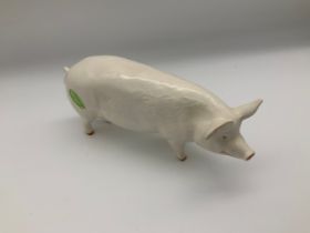 Beswick Pig