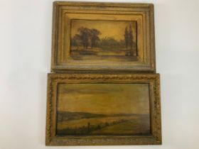 2x Framed Oil Paintings - The Largest is 53cm x 33cm