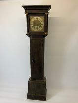 Brass Faced Long Case Clock