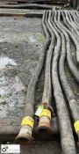 4 IVG Flexible Hoses, FH10-10bar, 4in, 9m long, with Anson FIG 206 union (knock up) (LOCATION: