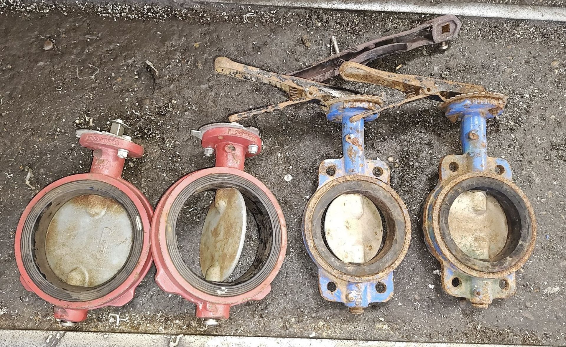 2 6in Gate Valves, unused and 2 5in Gate Valves, u - Bild 2 aus 2