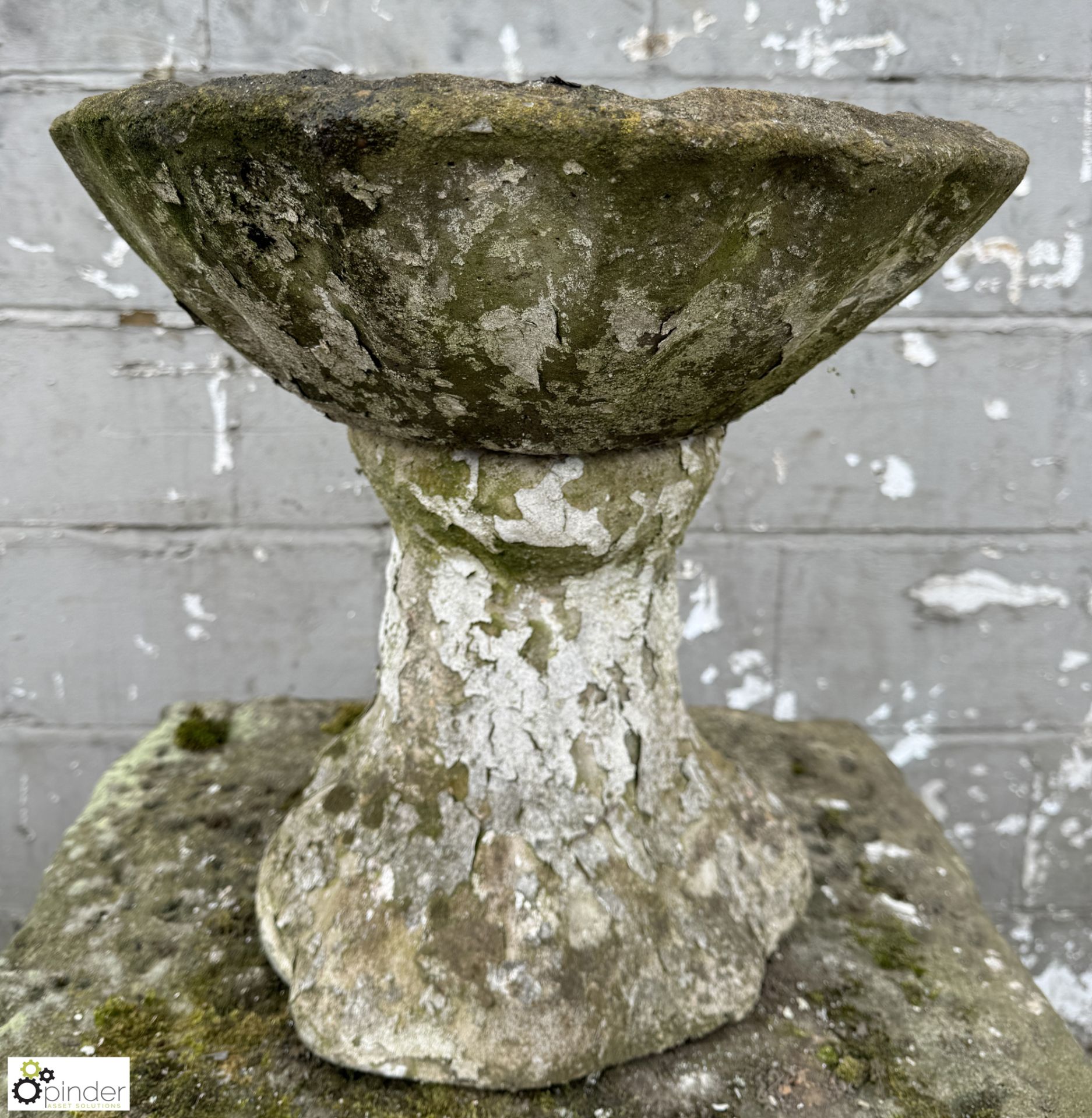 Reconstituted stone Shell Birdbath, 410mm tall - Image 2 of 6