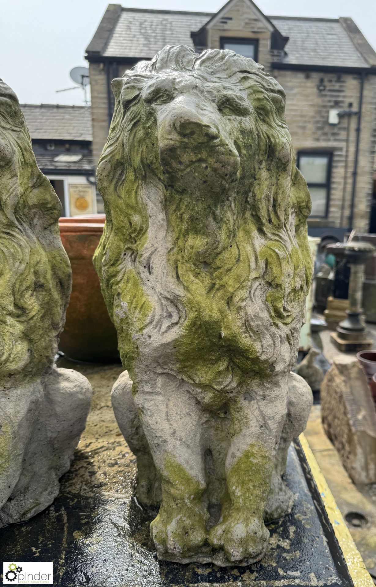 A pair reconstituted stone Seated Lions, approx. 20in, circa mid to late 1900s - Image 5 of 7