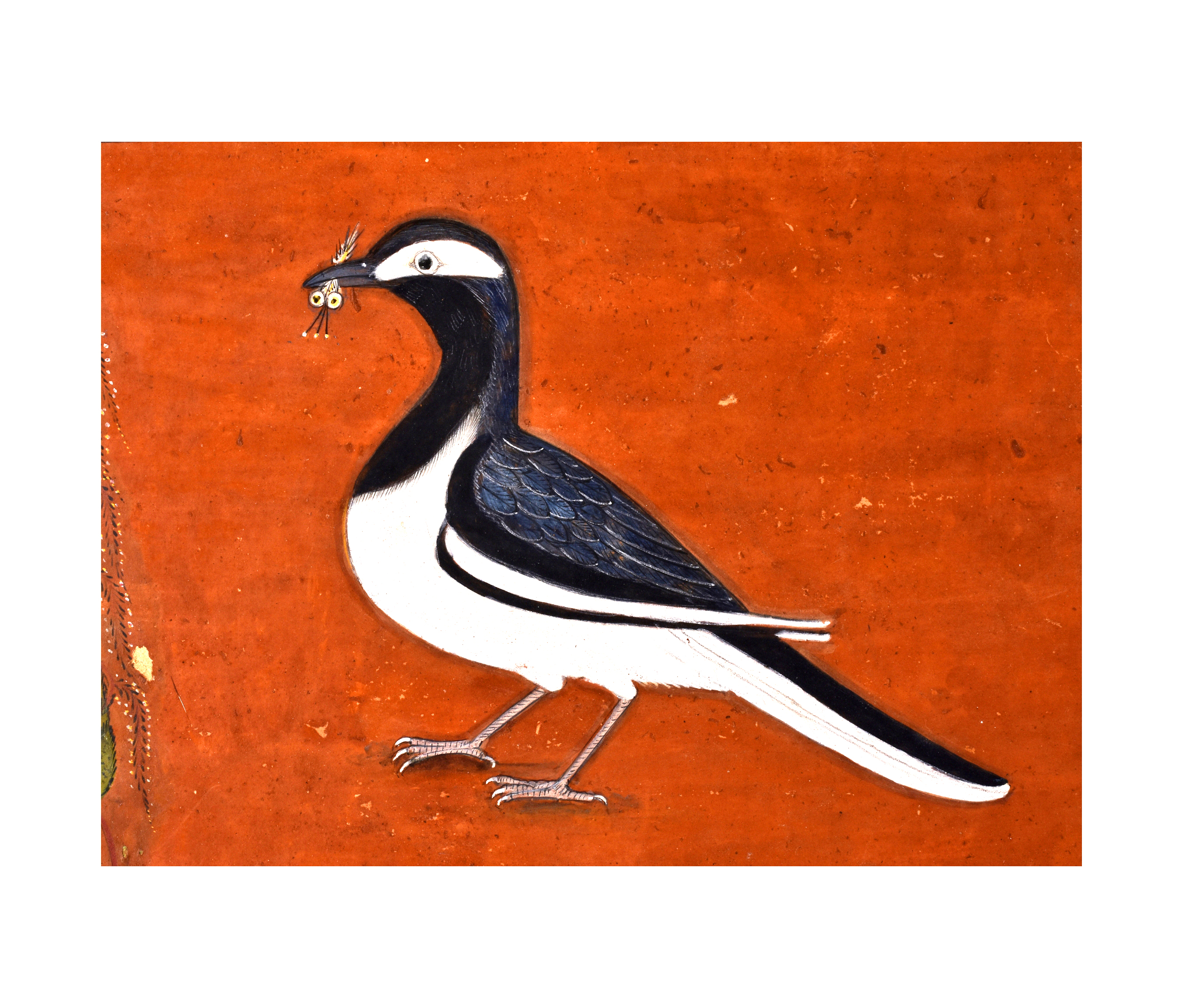 A PAHARI/BASHOLI BIRD WITH AN INSECT PREY IN HIS BEAK, 18TH CENTURY, INDIA - Image 2 of 3