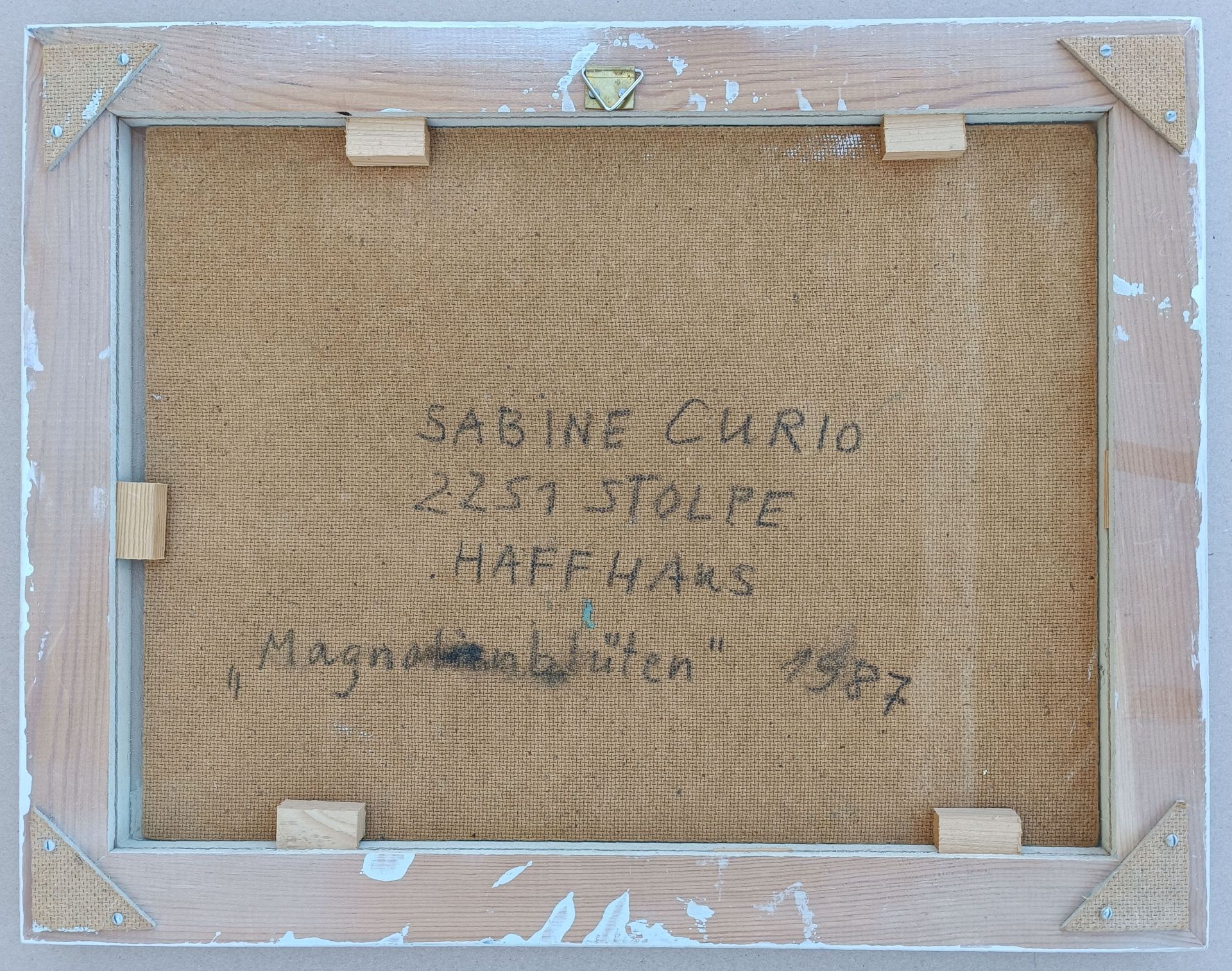 Curio, Sabine (1950 Ahlbeck, lebt in Stolpe/Usedom) „Magnolienblüten“ - Bild 4 aus 4