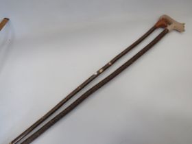 Two Naturalistic Walking Canes. One with a fox body handle (43 inches) one with a Carved Pheasants H