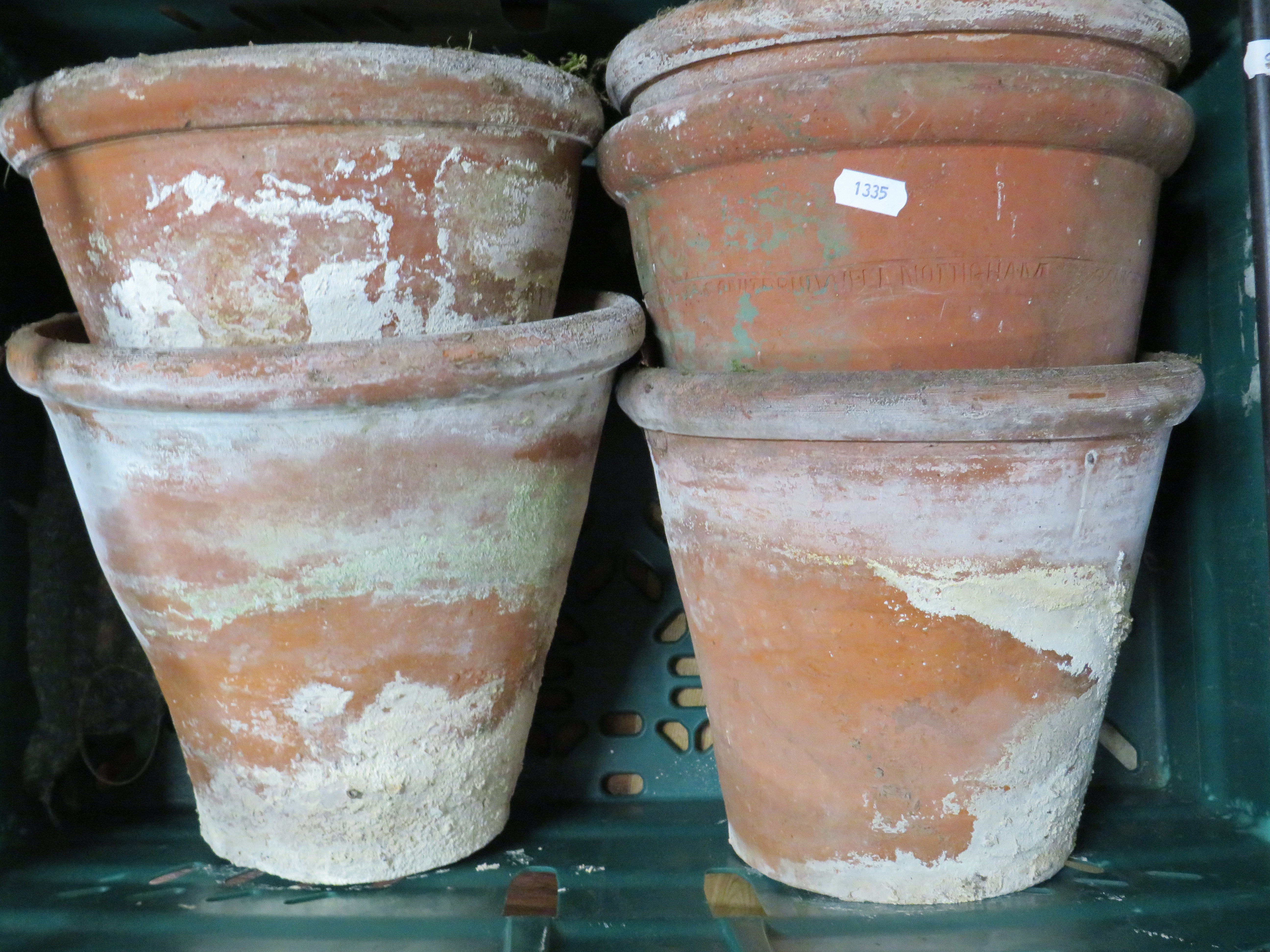 Six large Terracotta planters, largest 9 inches tall. See photos. 