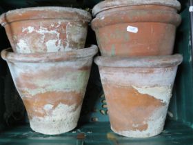 Six large Terracotta planters, largest 9 inches tall. See photos.