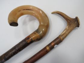 Two Naturalistic Walking canes, one has an Antler handle which measures approx 44 inches. One with a