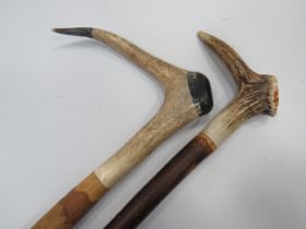 Two Naturalistic Walking canes, one has an Antler handles. One measures approx 41 inches. One measur