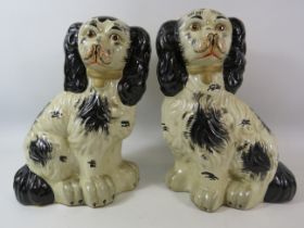 2 Black and white Staffordshire style spaniels, approx 30cm tall.