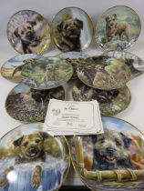 12 Danbury mint Border Terrier collectable plates.