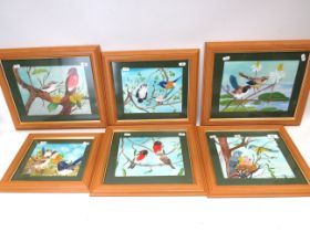Six Framed and mounted Cheerful and Colourful paintings of Birds by amature Artists. Each housed in