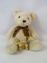 Stieff 2011 cosy teddy bear plus a miniature Stieff bear Dolly.