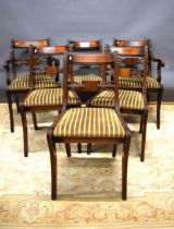 Six Dining chairs by Glenister. Two Carvers, four Diners. See photos. S2