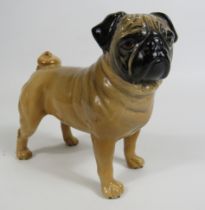 Beswick Pug Dog figurine Ch Cutmil Cupie, 11.5cm tall & 12cm long.