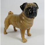 Beswick Pug Dog figurine Ch Cutmil Cupie, 11.5cm tall & 12cm long.