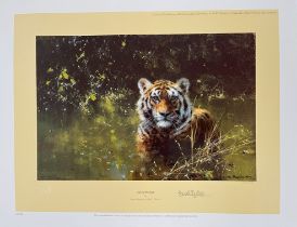 David Shepherd Print. Limited Edition 631/1500 Published 1982 'Cool Tiger' 8 x 12 inches. Unframed