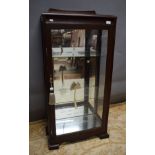 Mirror backed Glass display cabinet with etched palm trees and stars to the single door. Glass