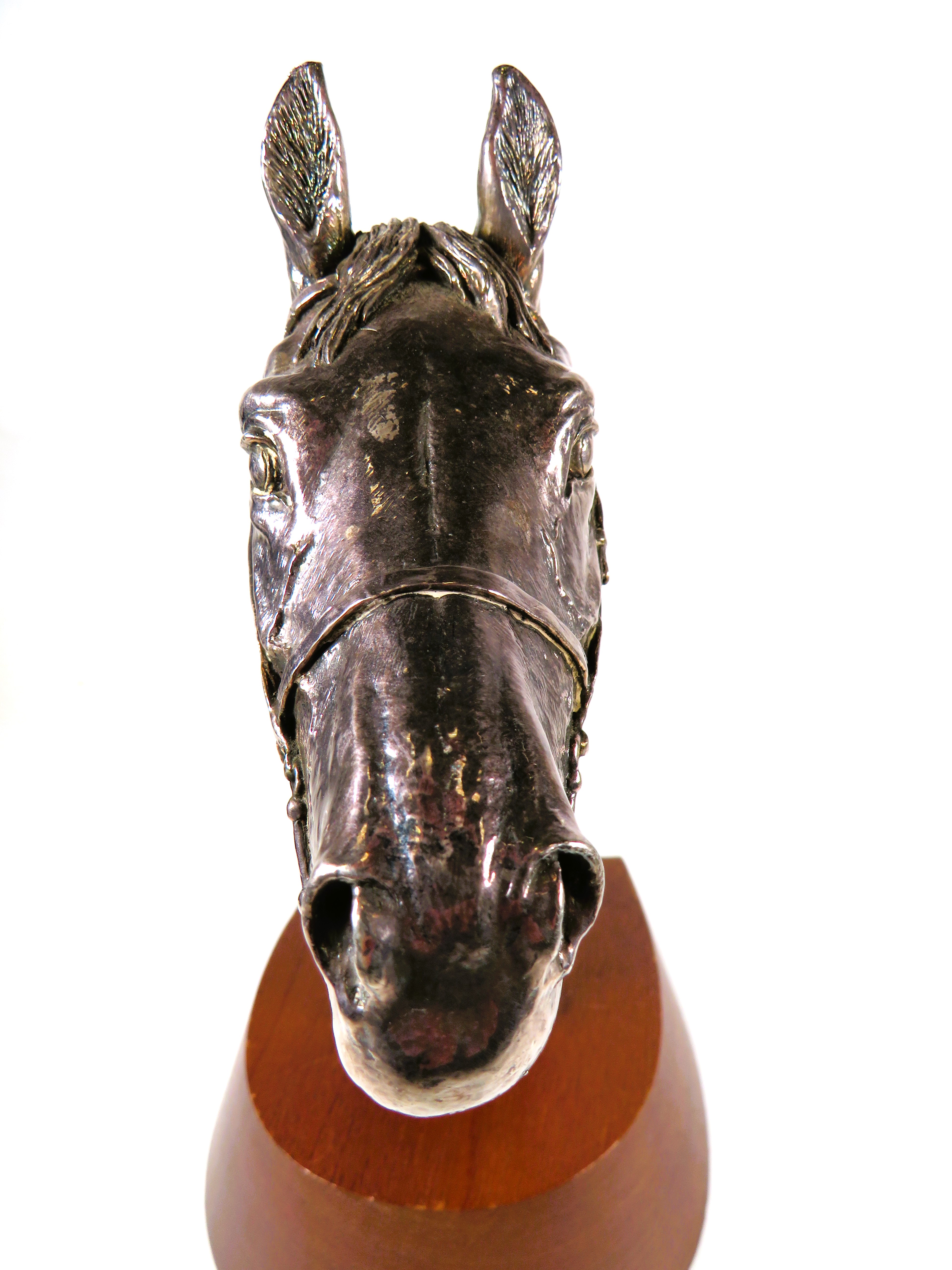 Beautifully Sculpted Horses Head in filled Hallmarked Silver . Bears the signature D. Gernty. - Image 5 of 6