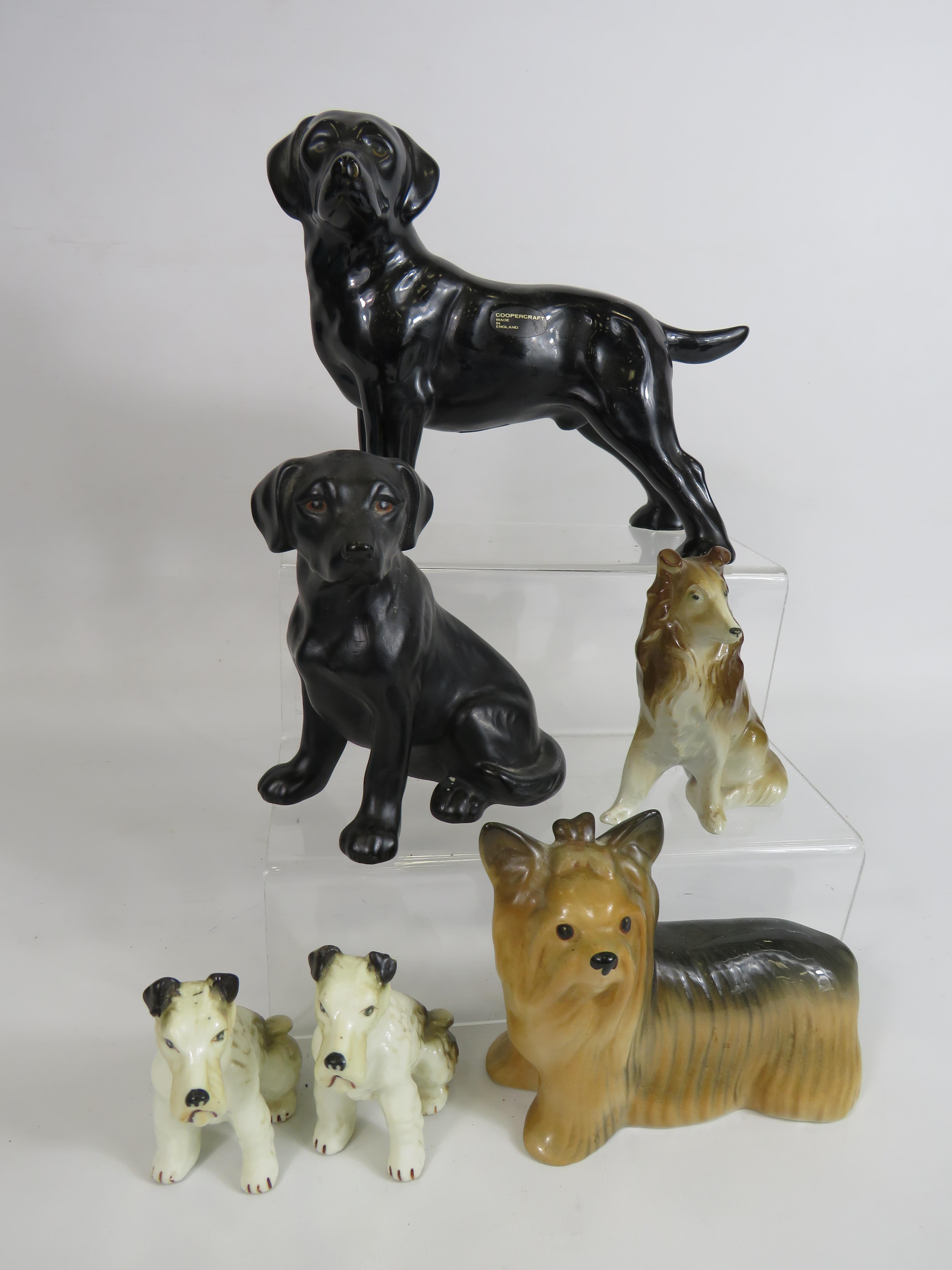 Selection of various dog figurines by Coopercraft and Melbaware etc. - Image 2 of 2