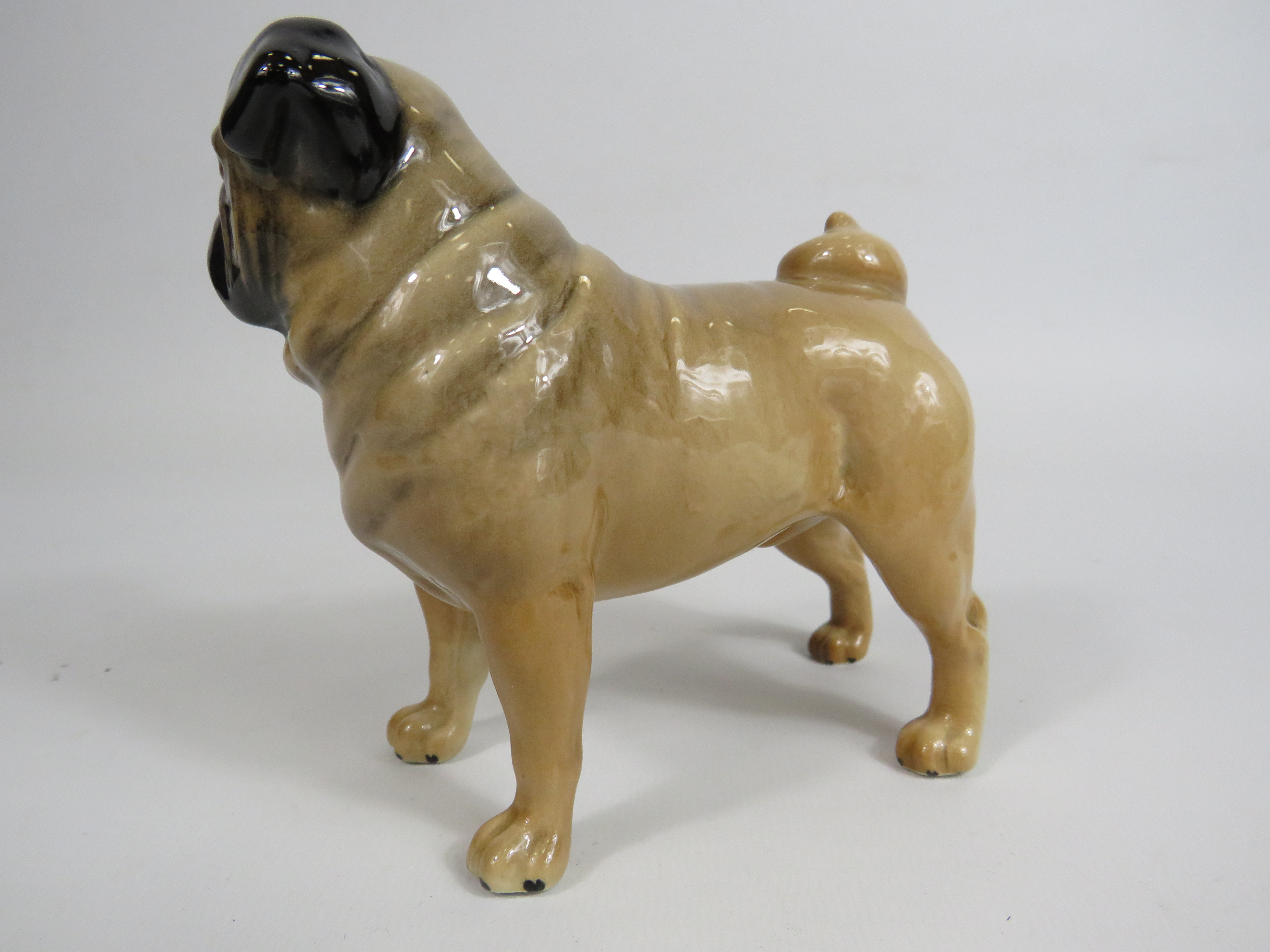 Beswick Pug Dog figurine Ch Cutmil Cupie, 11.5cm tall & 12cm long. - Image 3 of 4