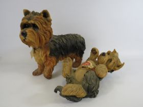 Two life size resin sculptures of Yorkshire terriers, one by country artists. The tallest measures