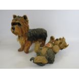 Two life size resin sculptures of Yorkshire terriers, one by country artists. The tallest measures