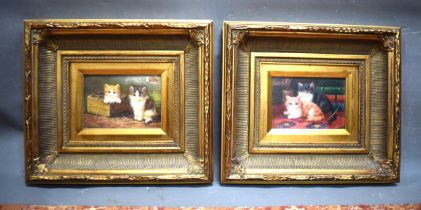 Pair of Oil on boards of Sitting Cats. CoA to reverse. Both framed. See photos. S2