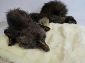 Vintage Black Fox Stole and a white fur shaw.
