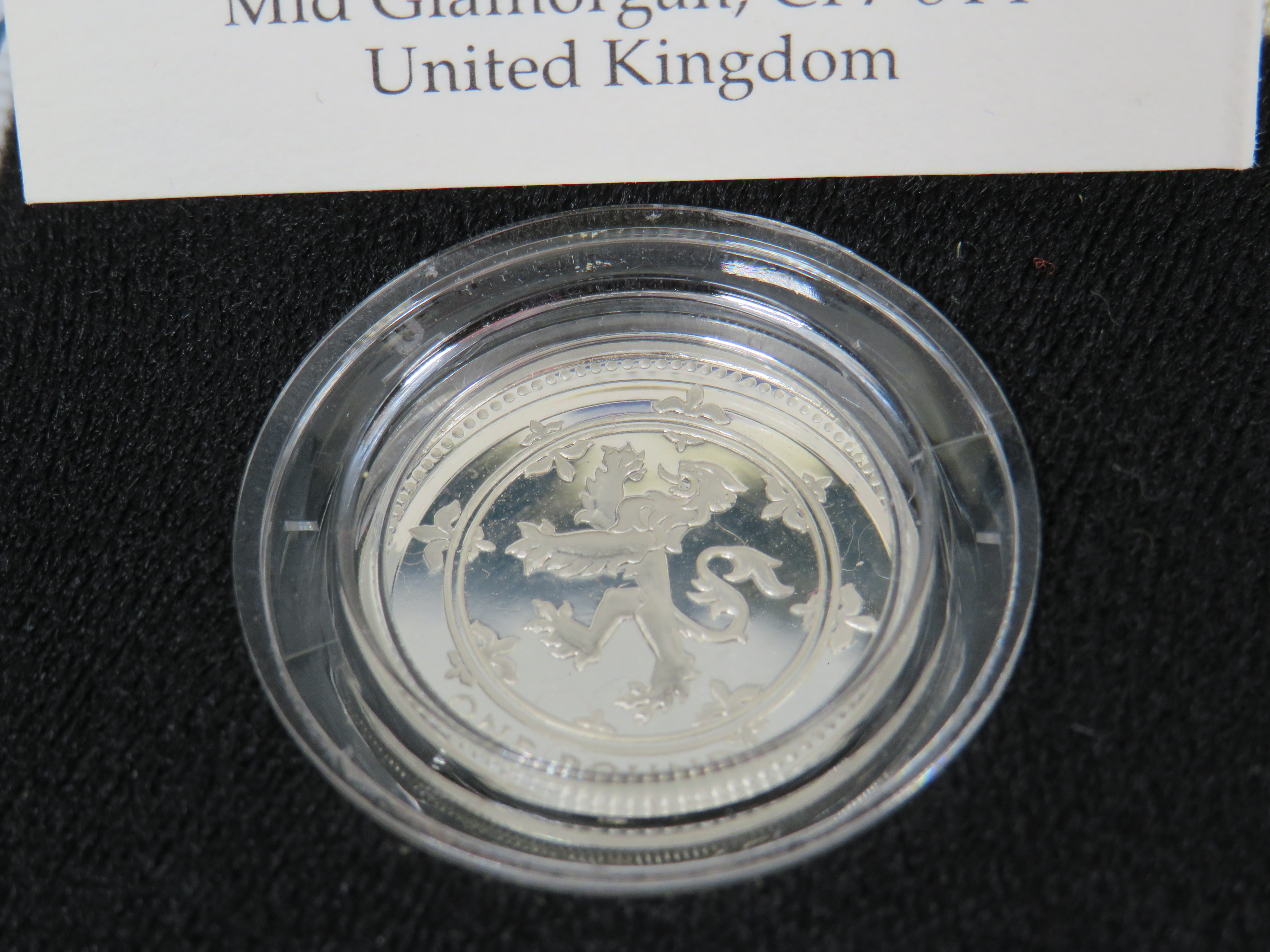 Alderney proof 925 Silver Proof £1 Coin With COA ,  Royal Mint Silver Proof £1 Coin with Box and COA - Image 4 of 8