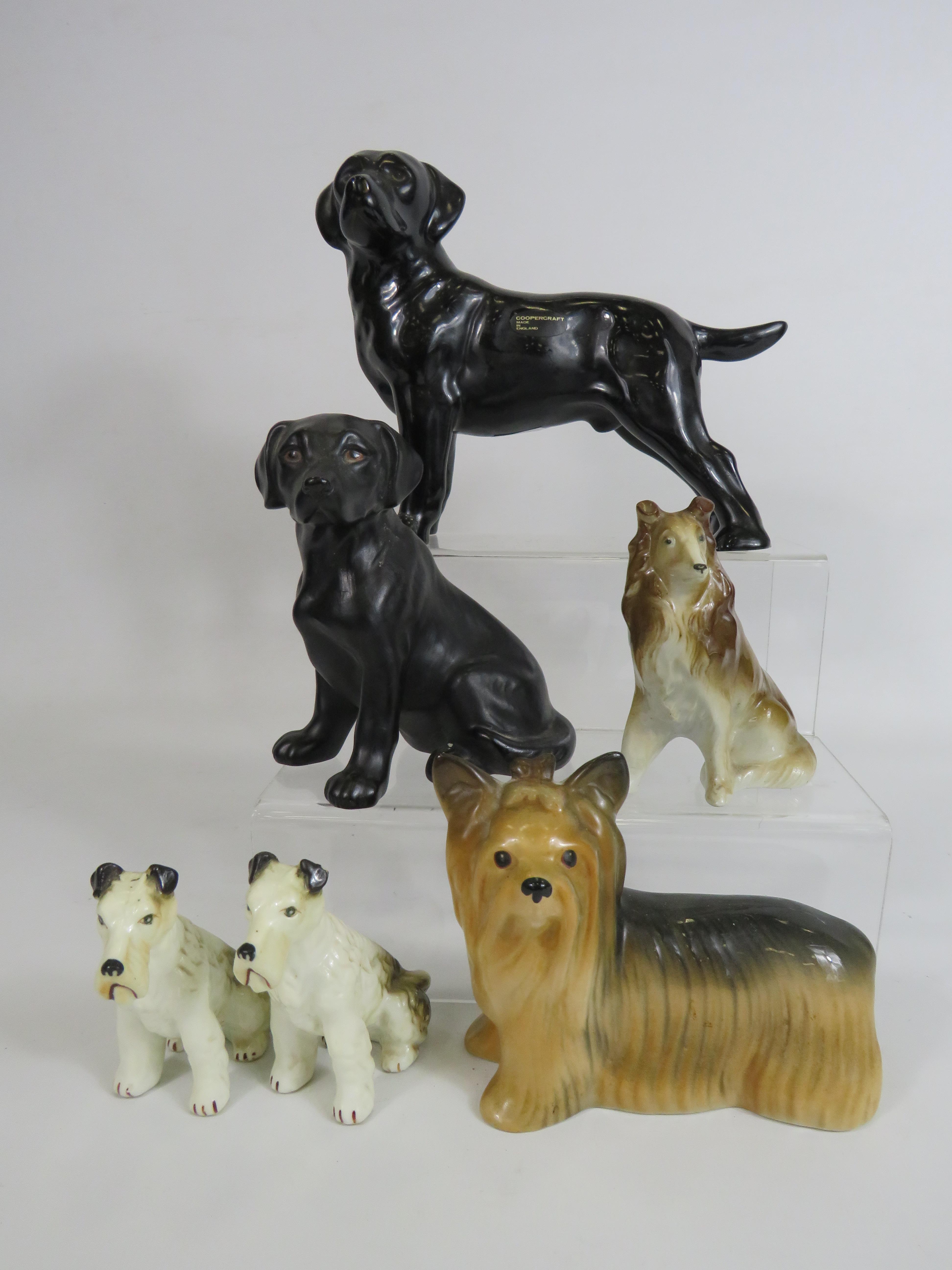 Selection of various dog figurines by Coopercraft and Melbaware etc.