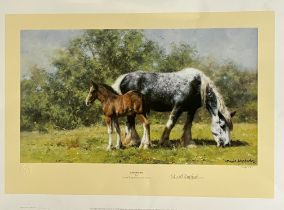 David Shepherd Print. Limited Edition 354/1000 Published 1985 '9 x 15 inches. Unframed . See photo