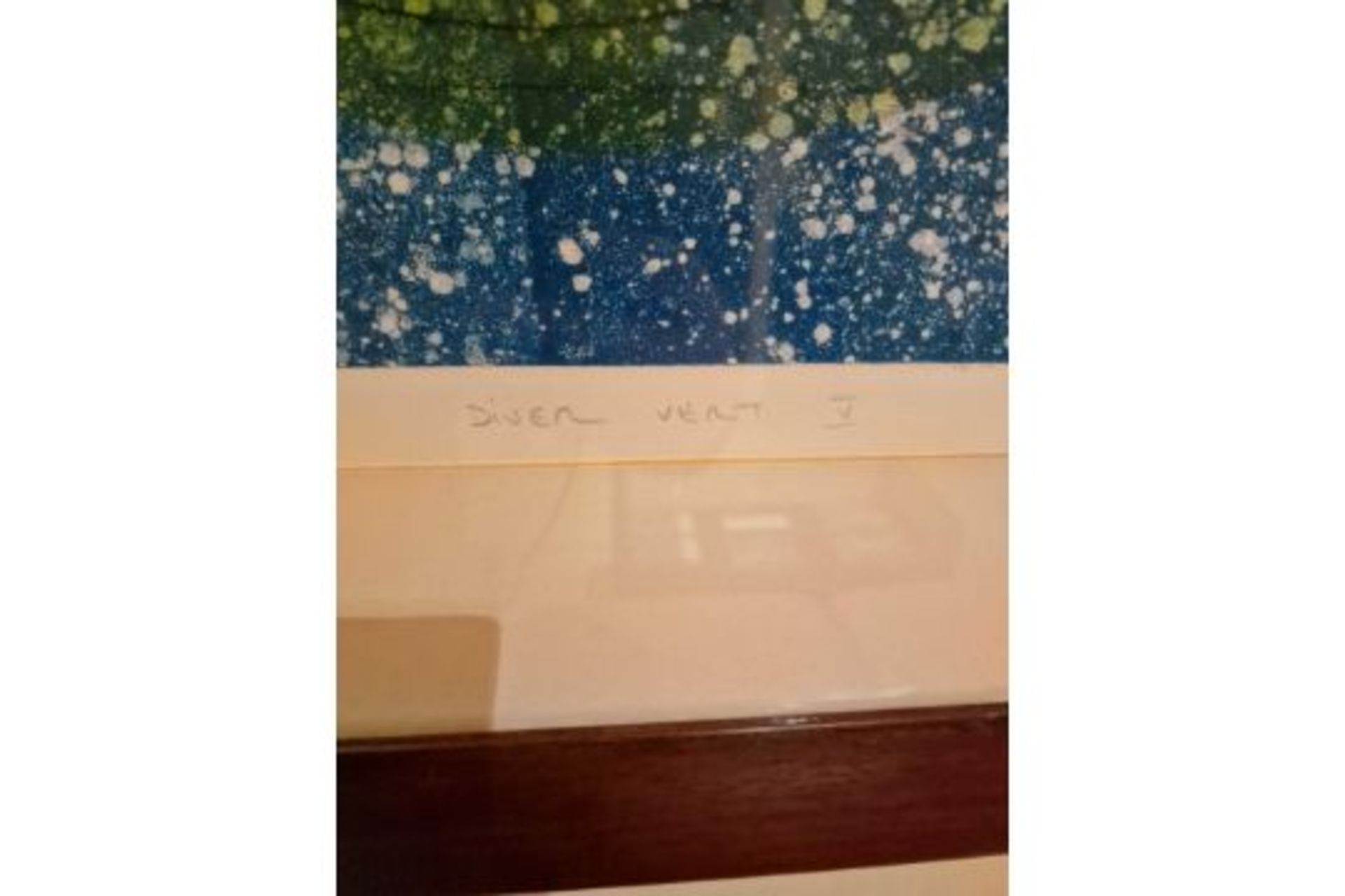Framed Art Work Titled Diver Vert V Signed In Glazed Walnut Coloured Frame 90 x 77cm - Image 4 of 5