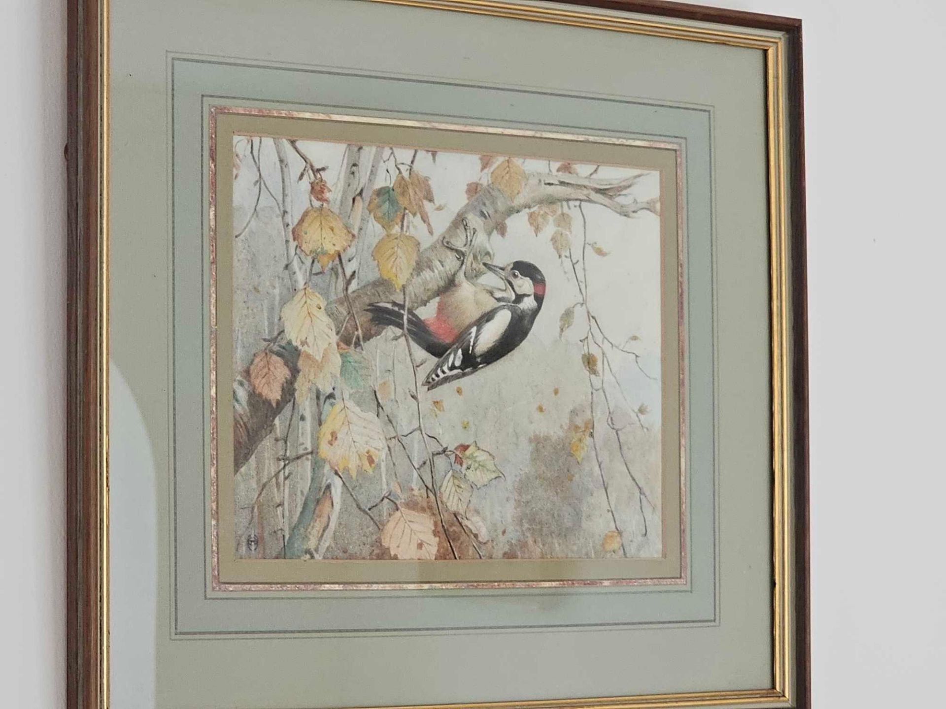 Winifred Austen RE, RI (British, 1876-1964) Great Spotted Woodpecker Watercolour Signed With - Image 2 of 2