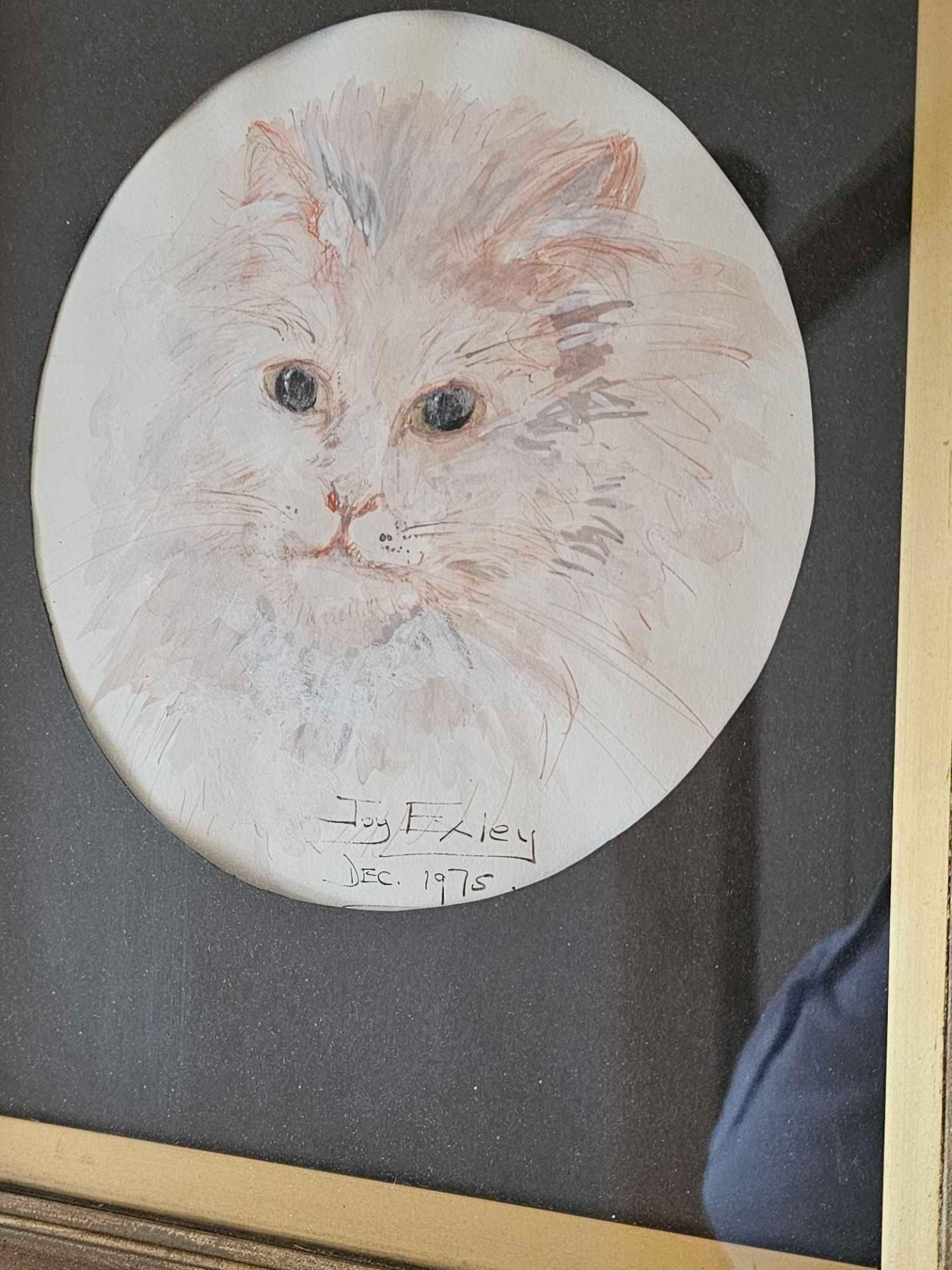 Framed Study Of A Cats Face Signed Artwork Joy Exley 1975 30 X 39cm - Bild 3 aus 3