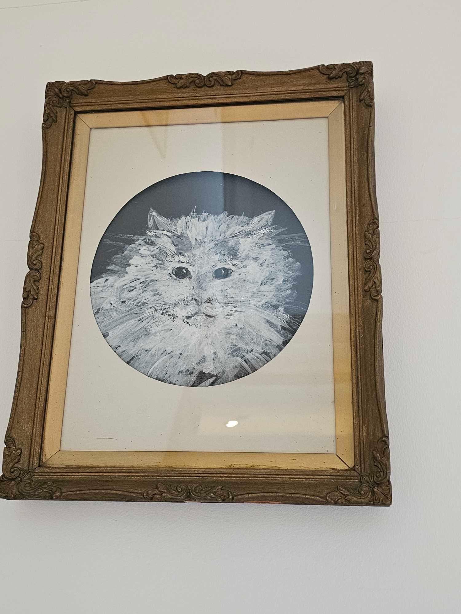 Framed Study Of A Cats Face Signed Artwork Joy Exley 1975 30 X 39cm - Bild 2 aus 2