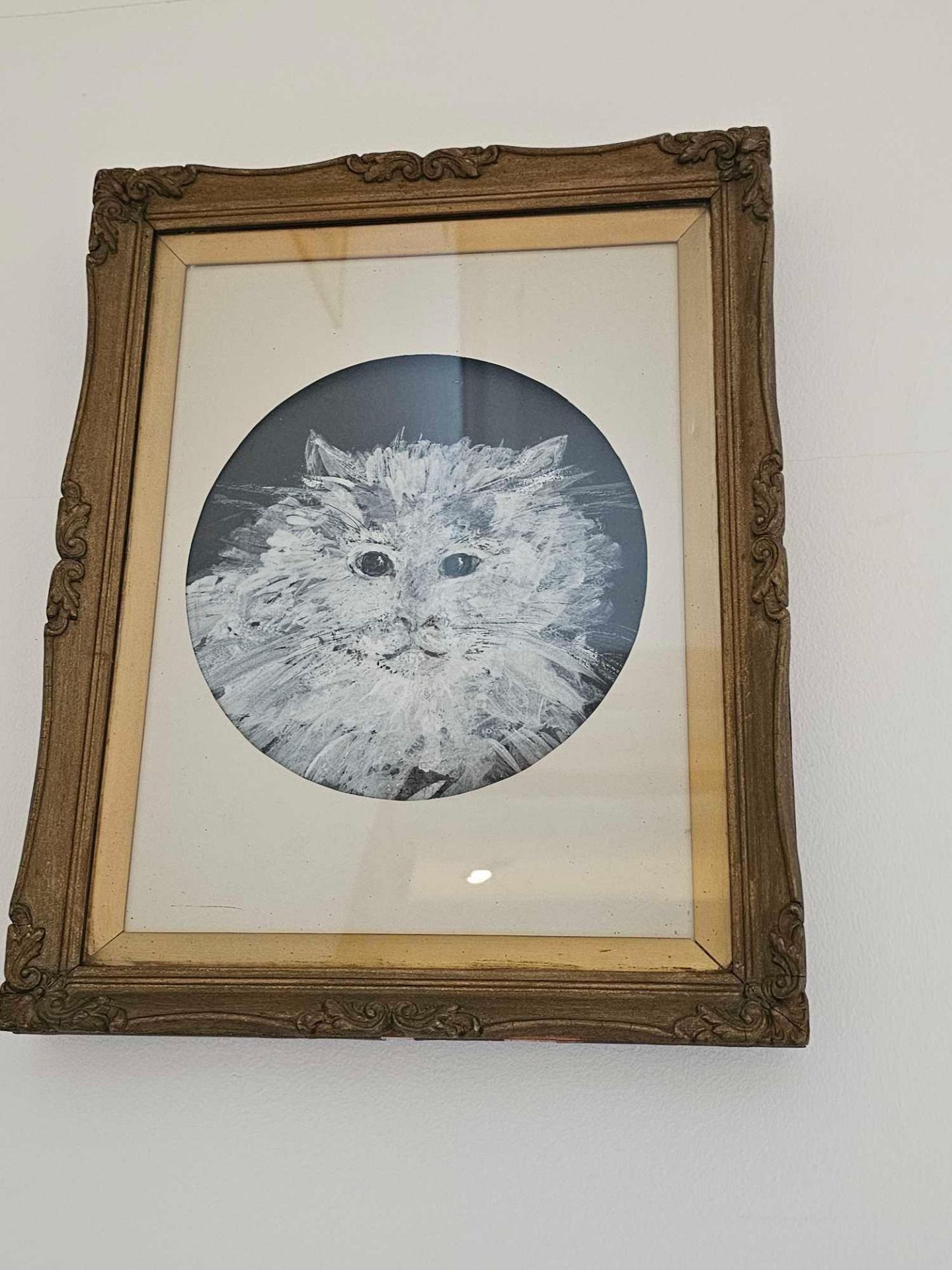 Framed Study Of A Cats Face Signed Artwork Joy Exley 1975 30 X 39cm - Image 2 of 2